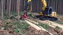 Log Max 7000B harvesting Eucalyptus