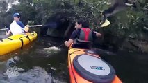 Monkeys Attacks Kayaker - Monkey Island - Video Dailymotion