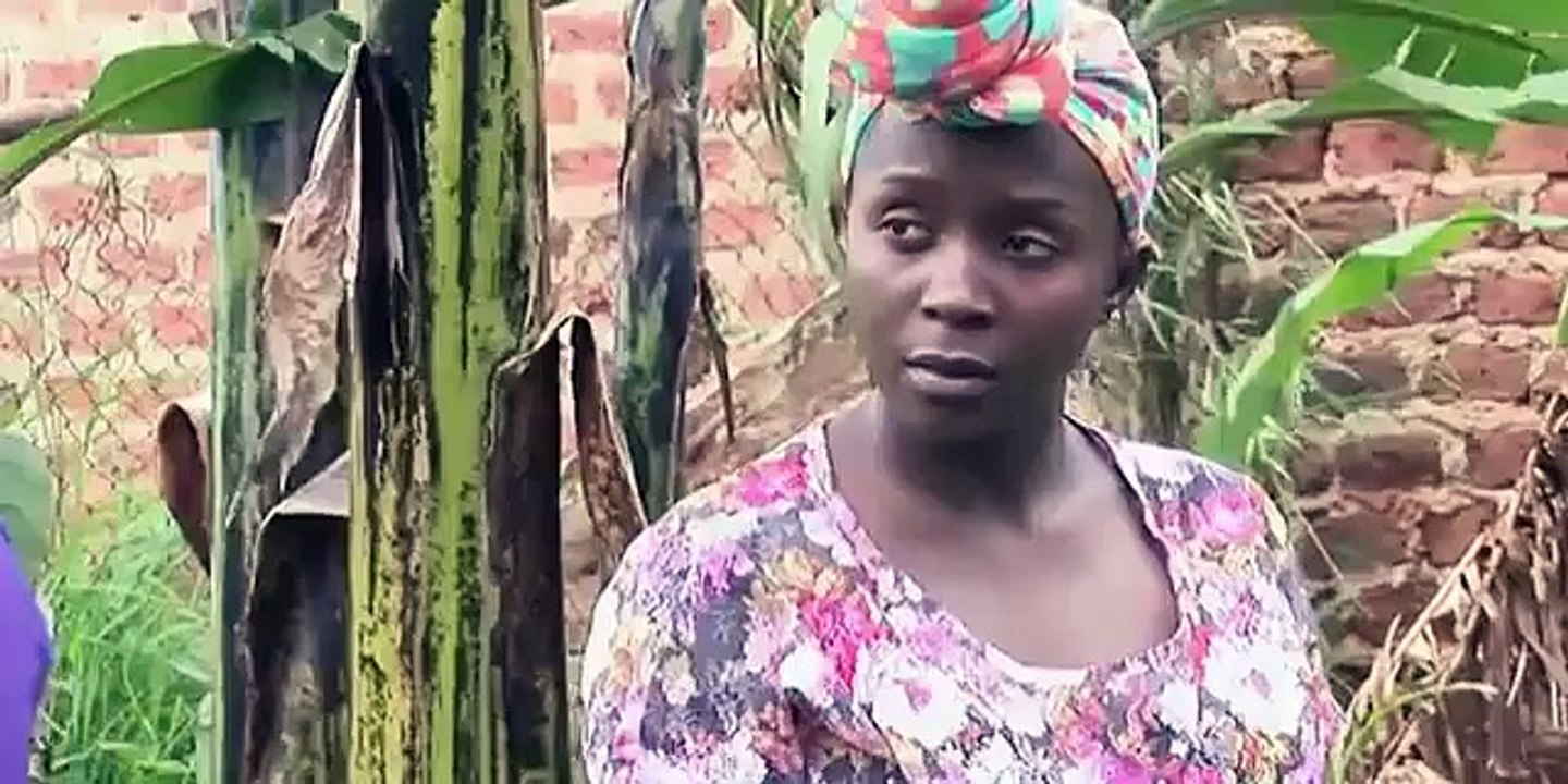 Kansiime Anne follows Job's example - African comedy.