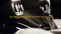 The new Opel Corsa - So cosy it's cat approved - The new OH!