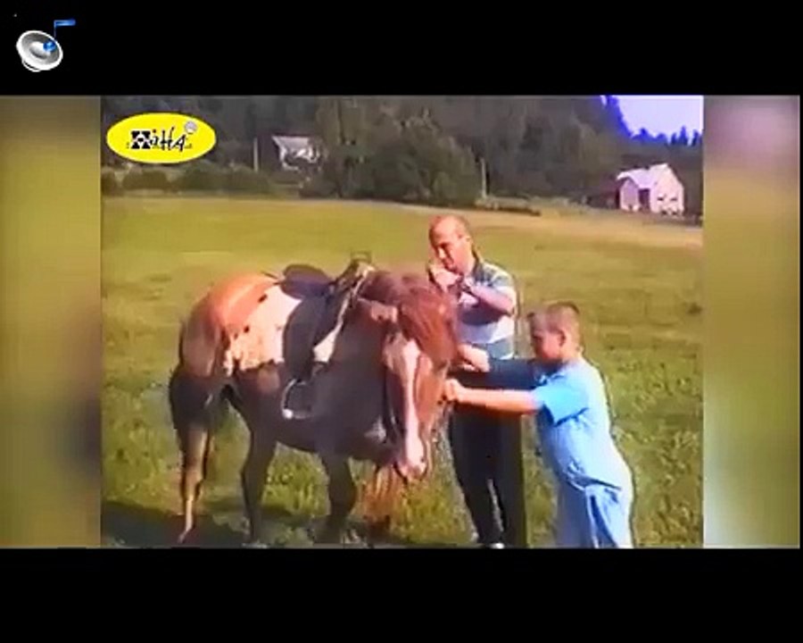 Funny Animal Videos   Funny Horse Bloopers   Best Fails of April 2015, Funny, Funny