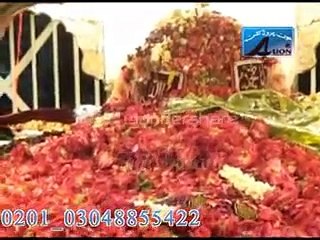 o saiyyan daniyal