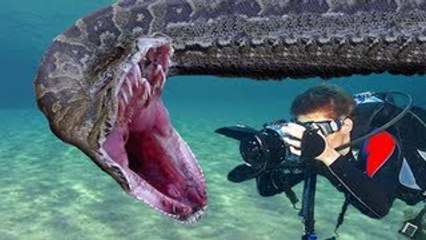 ANACONDA vs DIVER - Amazon River Monsters