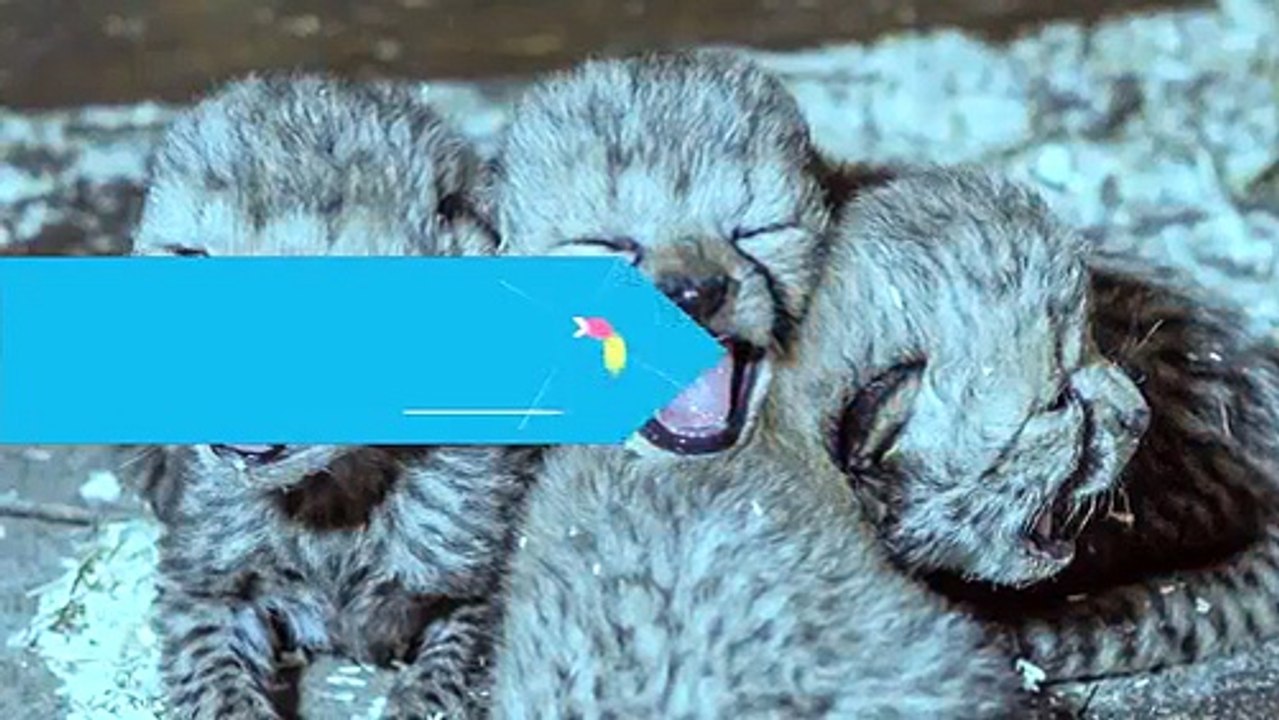 REVEALED Yeh Hai Mohabbatein Upcoming Story Sequence