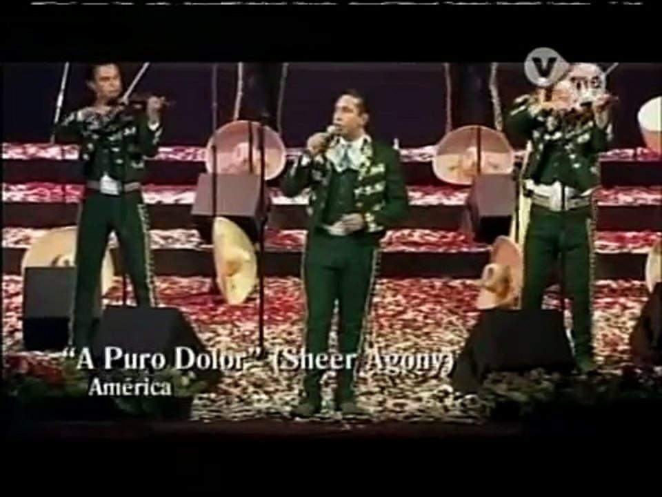 Mariachi  America  "A Puro Dolor"