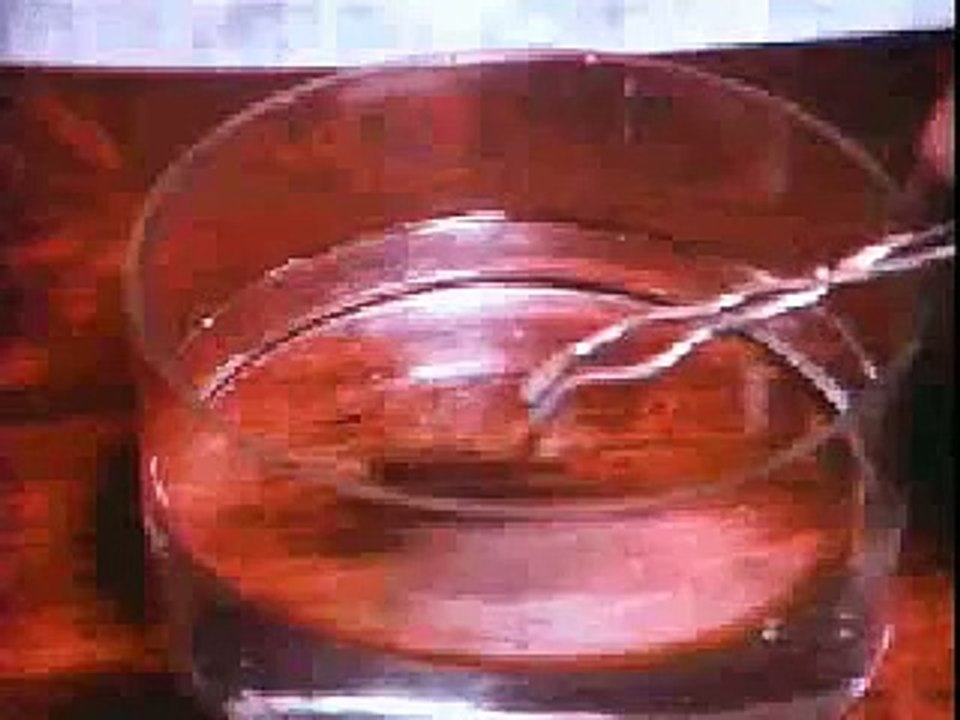 Alkali metals in water REAL