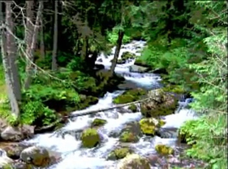 Adamo - Le ruisseau de mon enfance