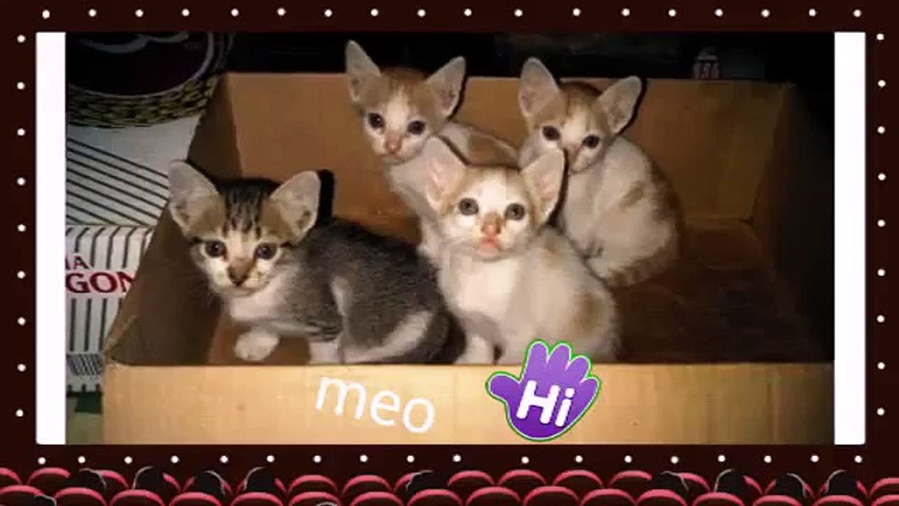 Doremon - chú mèo máy thông minh