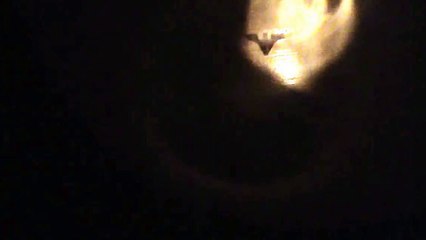 Lego batman vs superman trailer fan film