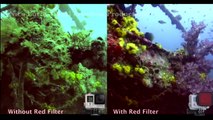 GoPro: HERO4 Red Filter Underwater Test 1080p HD