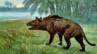 A Hyaenodon Tribute