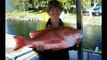 Tin Can Bay Fishing Charters Queensalnd Australia