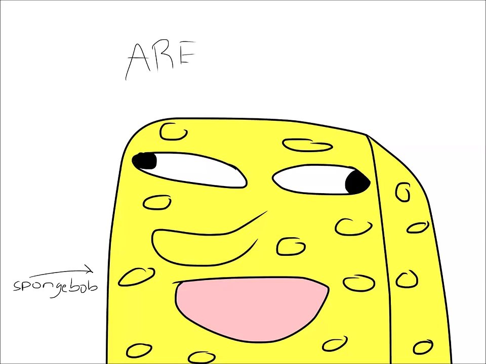 SPONGEBOB SQUARPANTS