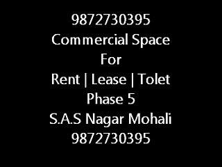 9872730395 Commercial Property Rent | Lease | Tolet Phase 5 Mohali
