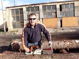custom log peeling machine, log peeler, log debarker, debarker, peeling, debarking