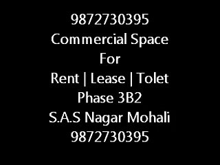 9872730395 Commercial Property Rent | Lease | Tolet Phase 3B2 Mohali