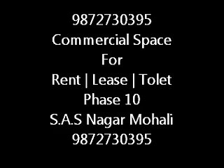 9872730395 Commercial Property Rent | Lease | Tolet phase 10 Mohali