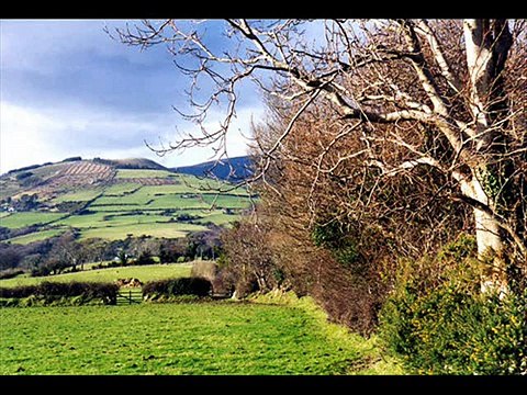**The Fields of Athenry** - The Irish Famine