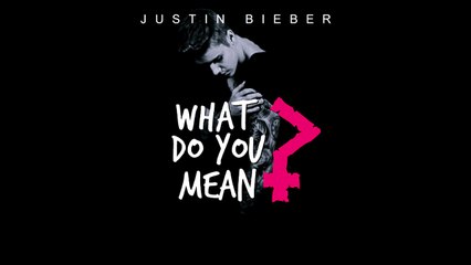 Justin Bieber  What Do You Mean Lyrics