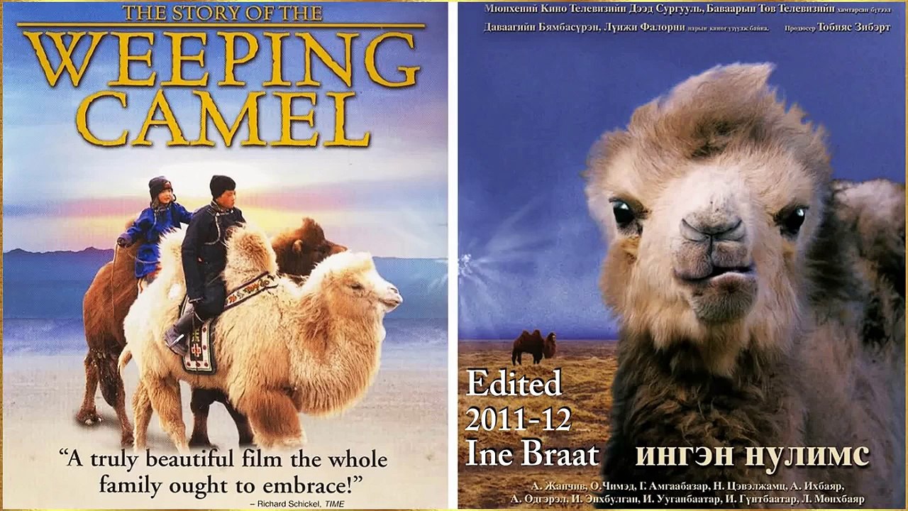 The Story Of The WEEPING CAMEL