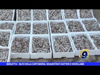 BARLETTA | Blitz della capitaneria, sequestrati datteri e novellame