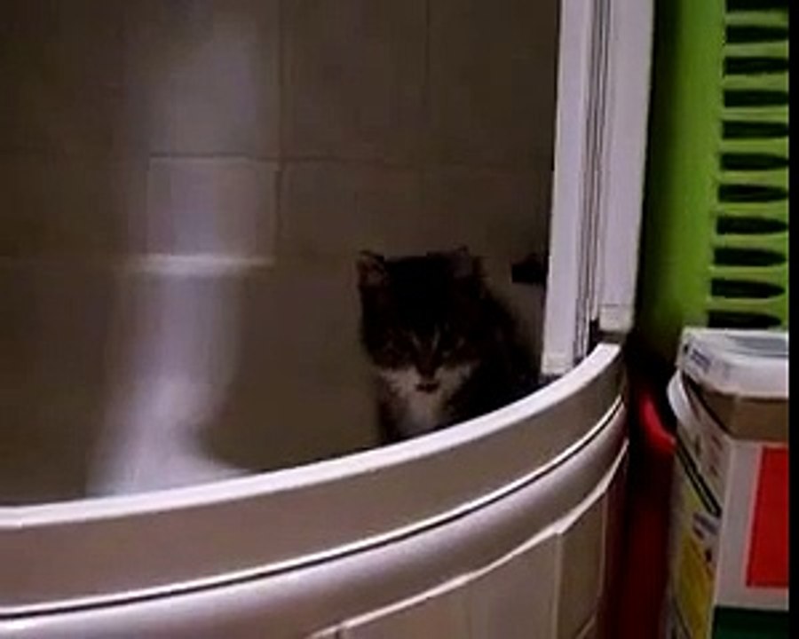 pinky unter der dusche