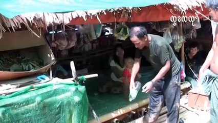 Gold Mining -- A Business of Mixed Fortunes