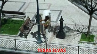 Texas Elvas