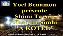 SHIMI TAVORI-SHOHAM SHIMI 