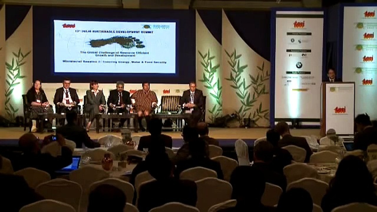 Dr Ryutaro Yatsu, Japan: We need to leapfrog to a low carbon development pathway - DSDS 2013