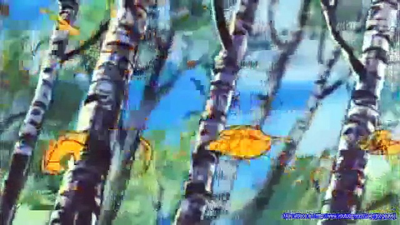 REMI | CAPITULO 1 | PARTE 1 | UN NIÑO DE LA ALDEA CHAVANON