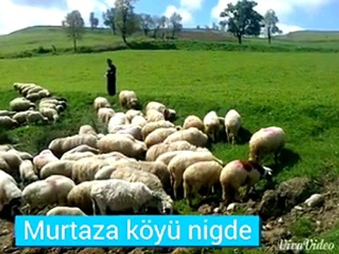karacadan süper ben hep seni düşünürüm