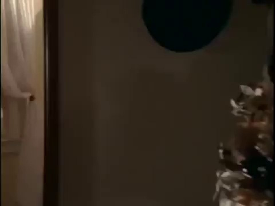 Dance With The One That Brought You Shania Twain -- legendado pt br