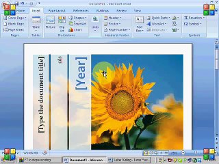How to set Page in ms word Urdu/Hindi Tutorial