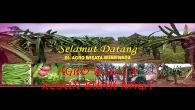 0813 7204 6788 (TELKOMSEL), paket tour murah ke batam,MUTIARA BATAM TOUR AND TRAVEL