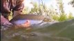 Alaska fishing lodge Orvis Fly fishing Expeditions