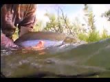 Alaska fishing lodge Orvis Fly fishing Expeditions