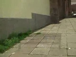 For The Images In Your Head