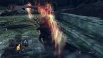Dark Souls 2 (Softs) Obscure game mechanics