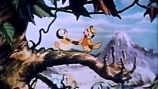 Hawaiian Birds, Max Fleischer Cartoon