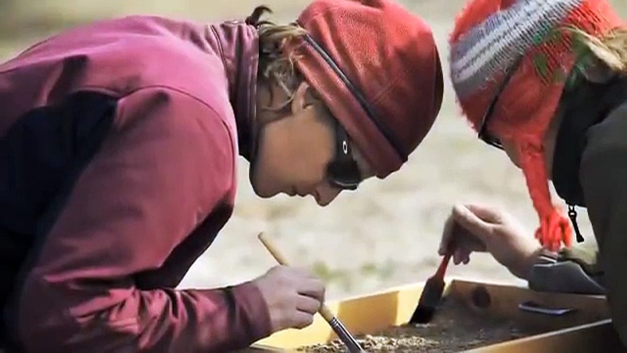 Paleo-Breakthrough (Seal Evolution) from an Arctic Fossil—Subtitled