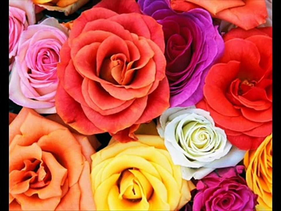 EL AMOR ES TRISTE.wmv