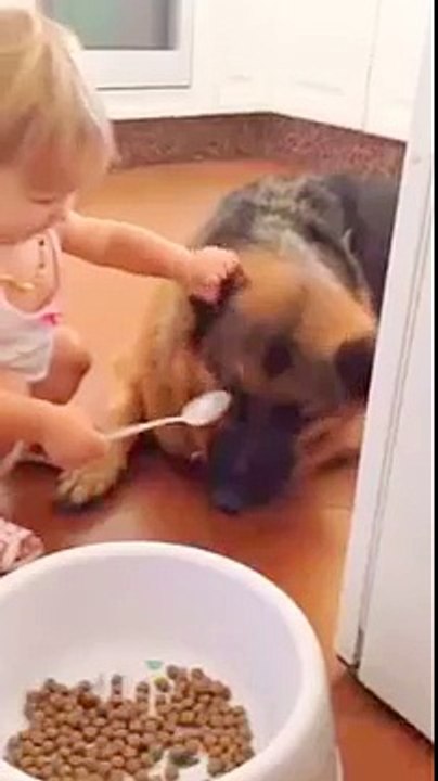 el mejor desayuno perruno