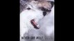 Never Cry Wolf : Amazing True Story of Life Among Arctic Wolves