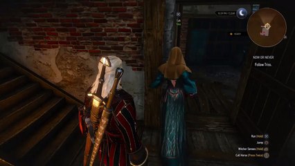 The Witcher 3 - Triss loves walls