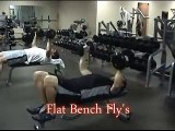 Chest Exercises