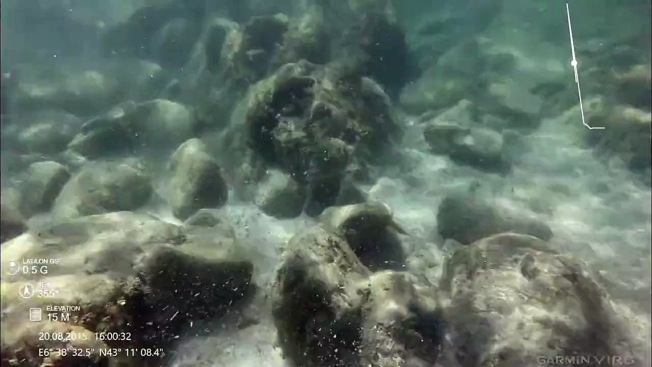 Snorkeling-@-Plage-l'Escalet,-Saint-Tropez,-C