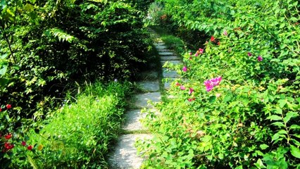 JALLO PARK WALK - 01