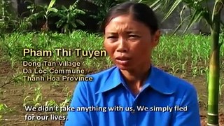 Vietnam - Community-Based Mangrove Reforestation and Management
