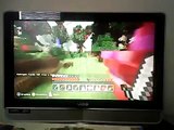 Minecraft Hunger Games [1] I Won   Caght A Cheater